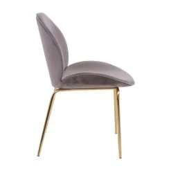 Tamara Mink Winged Gold Finish Dining Chair -Lifestyle Haven Shop hamilton interiors dining tamara mink winged gold finish dining chair house of isabella uk 28099982131254