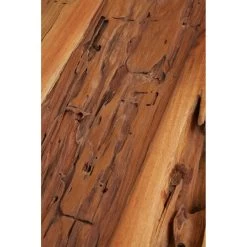 Kendari Teak Wood Stool -Lifestyle Haven Shop noosa co living kendari teak wood stool house of isabella uk 42937736003891