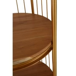 Mantis Medium Gold Finish Birdcage Shelf Unit -Lifestyle Haven Shop noosa co living mantis medium gold finish birdcage shelf unit house of isabella uk 42935616176435