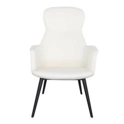 Contea Lounge Chair -Lifestyle Haven Shop tommy franks living contea lounge chair house of isabella uk 40338745065779