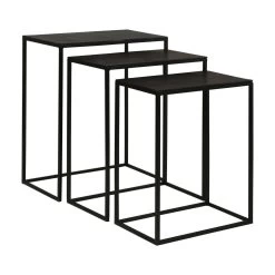 Coreene Iron Nesting Tables S/3